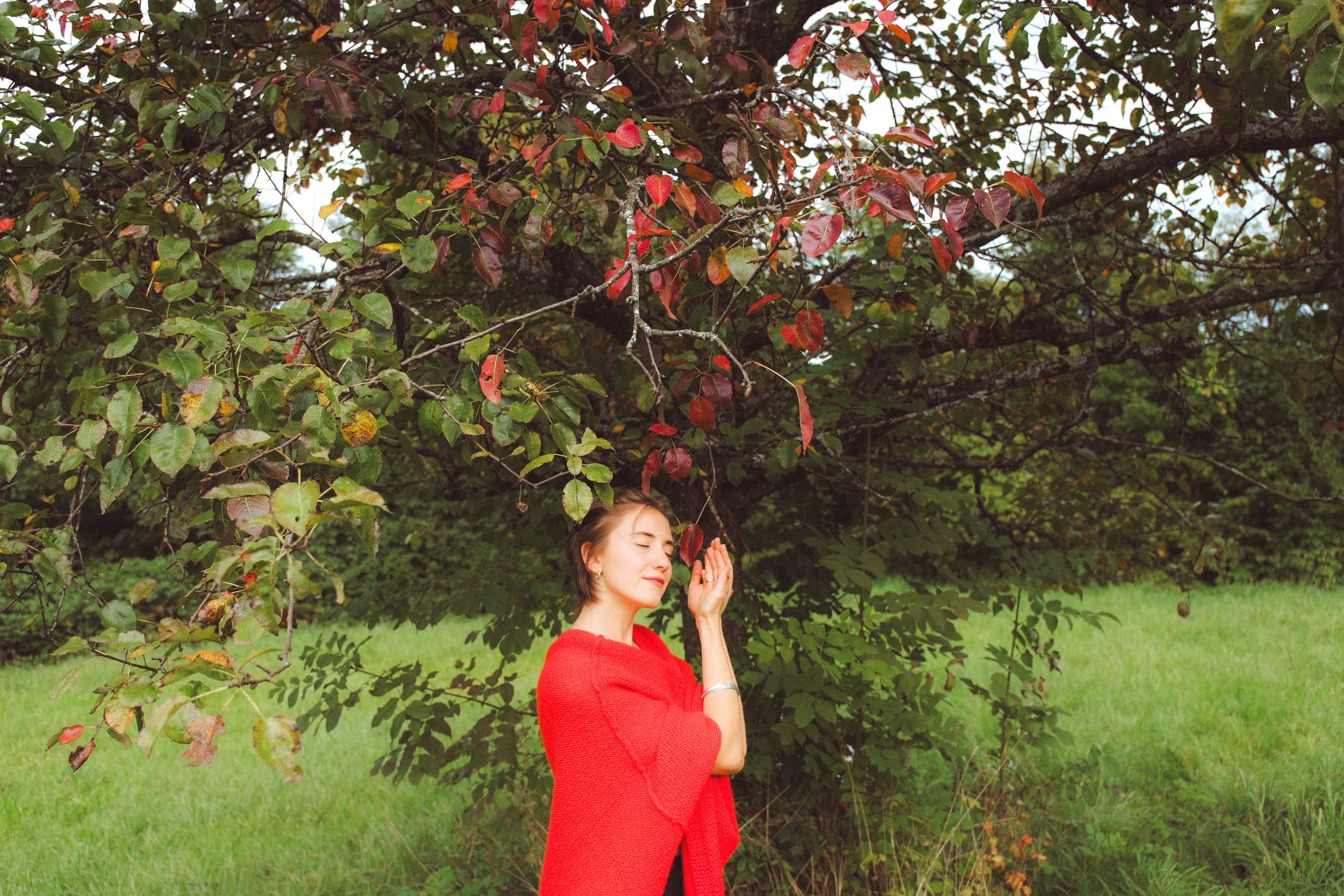 Thom van der Meer - Training