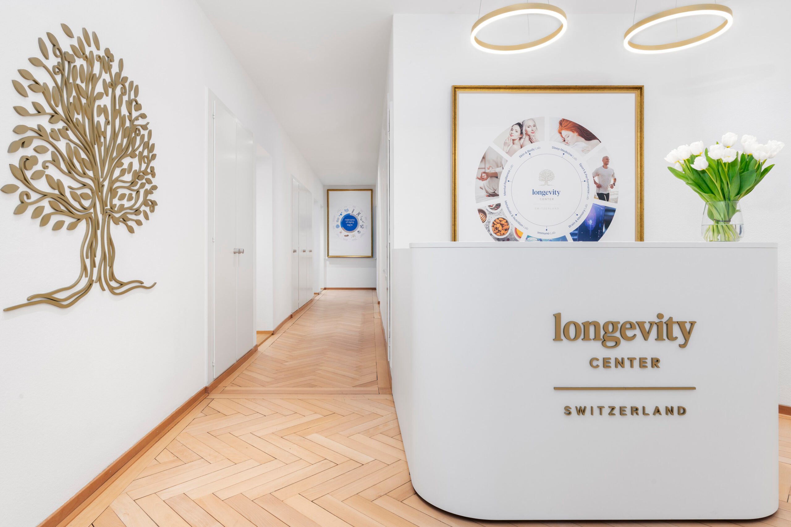 Longevity Center interior